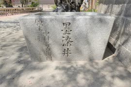 シーイーの古都京都巡り046墨染寺