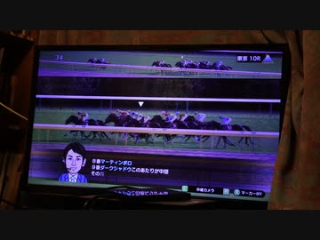 毎日王冠を取るんだ！ケヤキノリュウ