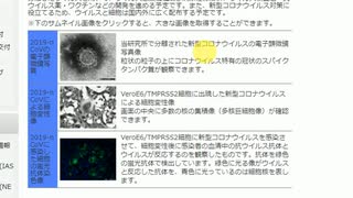 新型コロナウイルスの存在証明懸賞金2億円知ってた!_