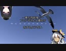 【東方有頂天実況】東方飛鉄塊Ⅱ～ブロン子さんと輝夜がエースコンバット04をプレイするようです インターミッション
