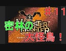 【実況プレイ】【討伐】モンスターハンター　♯１１