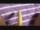 【実写】チーかま
