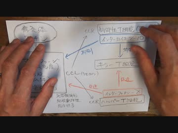 接種した方が感染しやすくなる免疫のメカニズム