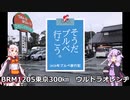 そうだ、ブルベ行こう2020　Part.7 「東京300㎞ウルトラオレンヂ」  【ゆかついな車載】