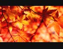 今年もやります！ボカロクラシカ音楽祭(第十二回）【支援動画】