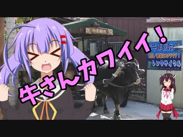 ちょっとそこまでぶらり旅　2020年2月　八重山諸島ツアー　Part2