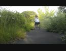 Sham 69 - Hersham Boys 弾いてみた　おかま