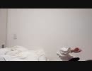 AA
