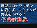 免疫を付与するはずのワクチンが免疫を落とす、そのメカニムズを解説