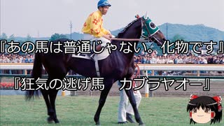 【競馬】ゆっくりさんと未来に語り継ぎたい名馬たち その049【ゆっくり朗読】