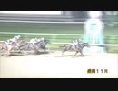 第34回マイルチャンピオンシップ南部杯 アルクトス