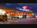沖縄建築【ＳＥＡ ＳＩＤＥ ＤＲＩＶＥＩＮ】解説＃4