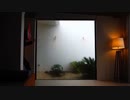 平沢進が脱出系亞種音のBSPで使用していたBGM(小組曲-小舟にて/ドビュッシー)