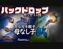 0915B①【カワセミのバックドロップ】カルガモ親子の母不在、育った雛の声。キセキレイの捕食。鳩がコイの駆け引き。カラスとコサギが空中戦。野鳥撮影　#身近な生き物語　#カルガモ親子　#カワセミ