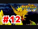 【実況】vsサンダー【ポケモン不思議のダンジョン 救助隊DX】#12