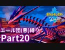 ポケモン剣ではエール団(悪)のポケモン縛りでやっていくPart20