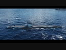 【WoWS】楽しい潜水艦 Balao Part5【四国めたん実況】