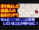 【韓国の反応】 韓国人が 漢字を捨てた 結末が コチラ・・・暮らしの質が低下