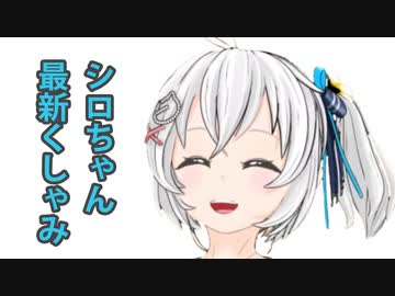 シロちゃん最新くしゃみ