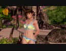 【DoaX3】グラビアパラダイス ランダム 101409