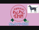 【犬種解説 #6】犬屋敷教授のわんわん図鑑 No017-020【ソフトウェアトーク解説】