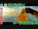 【FARCRY6】凸凹ゲリラが征くヤーラを解放せよ!#9【LgLp】