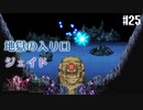 【ピクセルリマスターFF2】ぽんこつヒカセンが悲劇と対峙する実況 Part.25【実況】