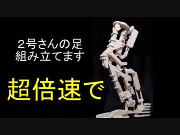 これをガールの足ですと言い張る男の暴走