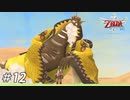【ニコ生ACV】ゼルダの伝説はじまりの物語を遊ぶ・第12夜【スカウォHD】