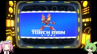 【ロックマン11】Drワイリーに土下座させてぇずんだもん 8話【VOICEVOX実況】