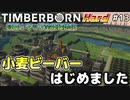 【Timberborn】『小麦ビーバーはじめました）』マップ全体緑地化!!ハードモードでビーバーの王国作り始めました #13【ゆっくり実況】