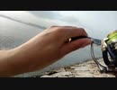 痛恨のバラし・・・　#shorts