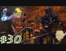 【FF10】ファイナルファンタジーXを初見実況してやんよ！　part30【final fantasy X】