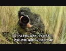 ミネルソン龍「アイドルを信じなきゃ、ダメだぞぉ♡」
