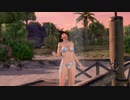 【DoaX3】グラビアパラダイス ランダム 101506
