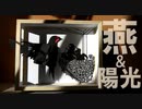 陽光と燕の育児