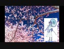 Vol.01 『夜桜』 / 神威がくぽ【C.Makoto】