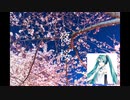 Vol.01 『夜桜』 / 初音ミク【C.Makoto】