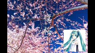 Vol.01 『夜桜』 / 初音ミク【C.Makoto】