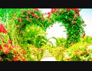 Photo Decoration