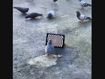 は↑と↓　その2