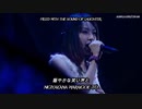 LiSA - シルシ (Shirushi) (live) [Kana, Kanji • Romaji • English] subtitles by sleeplacker21edge