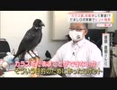 カラスと会話!?