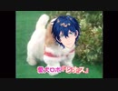 愛犬ロボ「レオス」