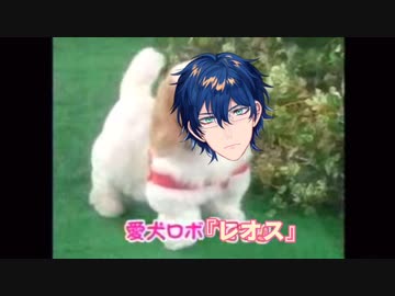 愛犬ロボ「レオス」