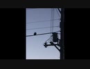 【初音ミク】トワイライトのめざめ【オリジナル曲】