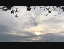 無条件の波動４２８　～愛の波動を感じて～