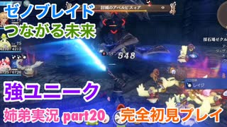 □■ゼノブレイドつながる未来を初見実況プレイ part20【姉弟実況】