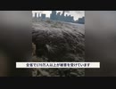洪水災害で村が壊滅・救援も保障も無し・中国メディアは沈黙