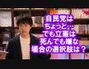 自民党はちょっと…だけど立憲には死んでも投票したくない人はどうしたらいいのか？